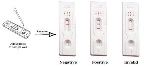 the pregnancy pee bottle test|how to read positive pregnancy test.